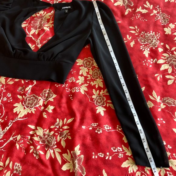 Stunning Express Puff-Shoulder V-Front Open-Back Long-Sleeve Crop Blouse XXS - Picture 15 of 16